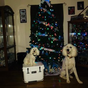 Meet your Posher, Sharon